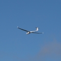 There were several gliders out today riding the wind.