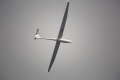 Such a futuristic-looking plane.