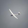 It was such a treat to see this glider circling around.